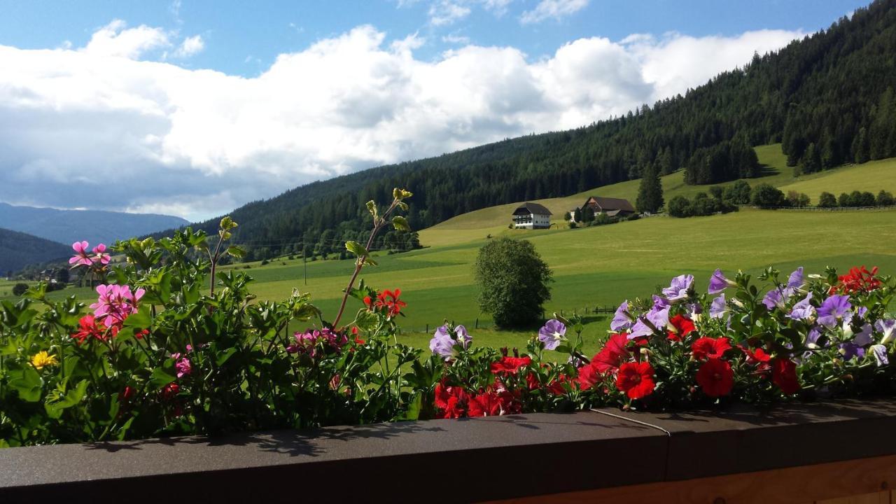 Ferienwohnungen Haus-Holzer Mauterndorf  Luaran gambar