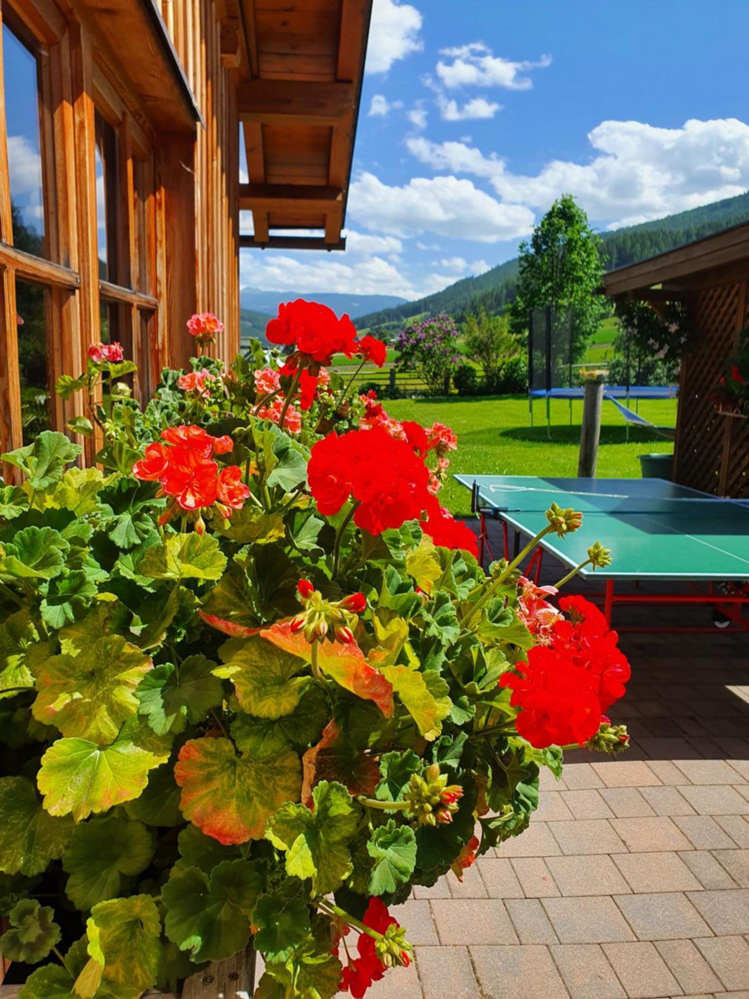 Ferienwohnungen Haus-Holzer Mauterndorf  Luaran gambar