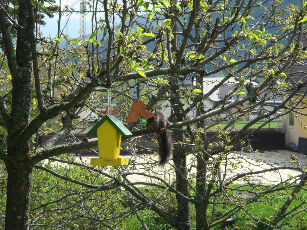 Ferienwohnungen Haus-Holzer Mauterndorf  Luaran gambar
