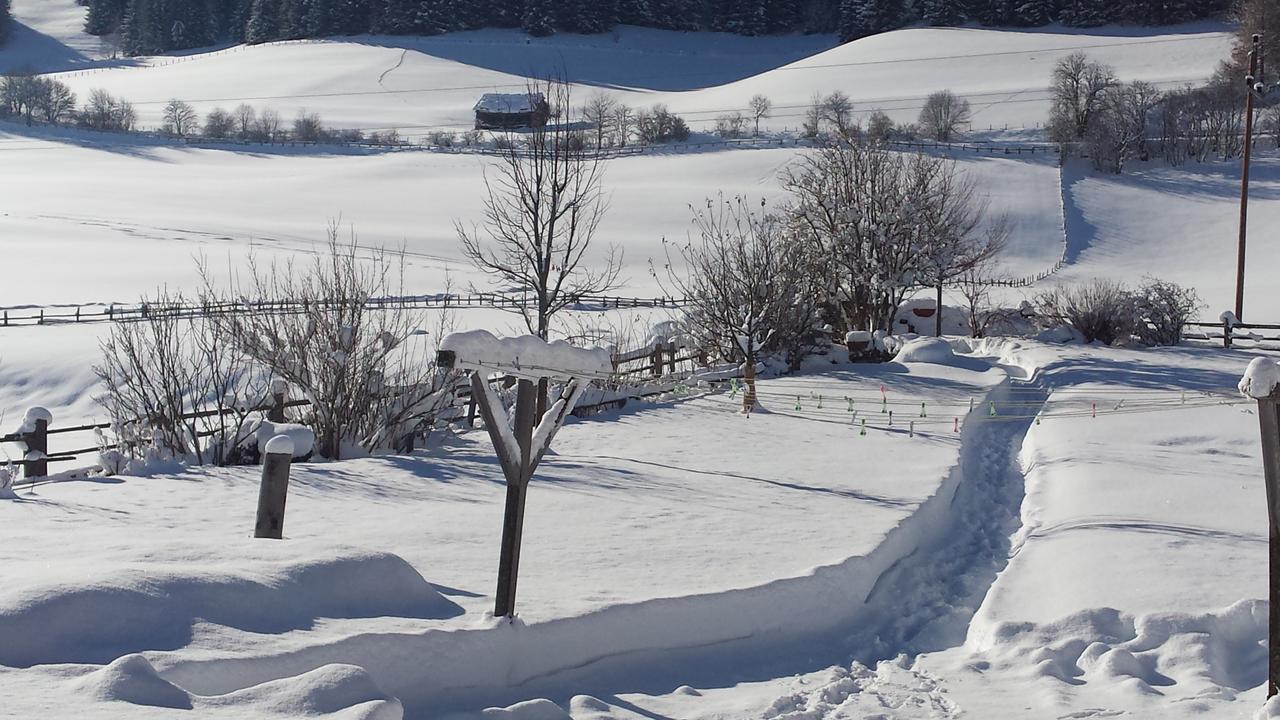 Ferienwohnungen Haus-Holzer Mauterndorf  Luaran gambar