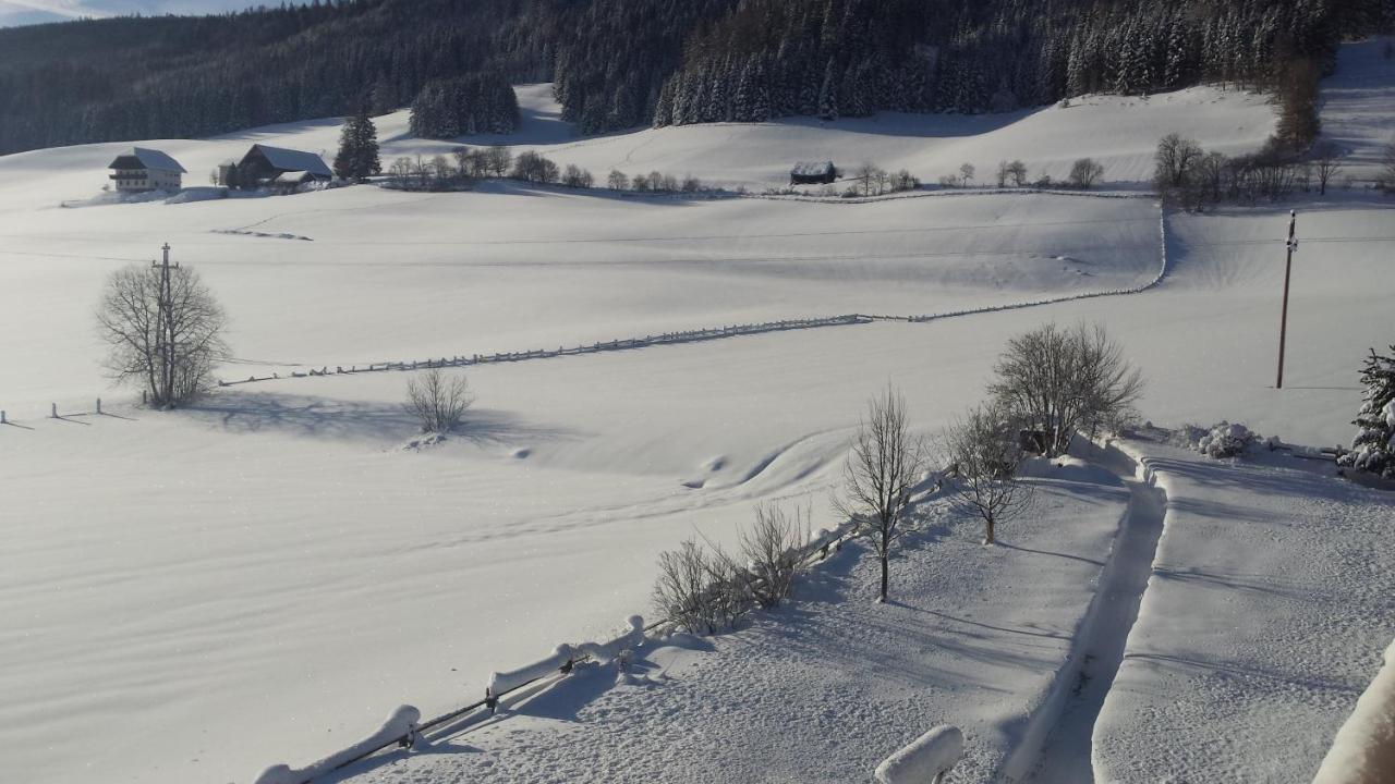 Ferienwohnungen Haus-Holzer Mauterndorf  Luaran gambar
